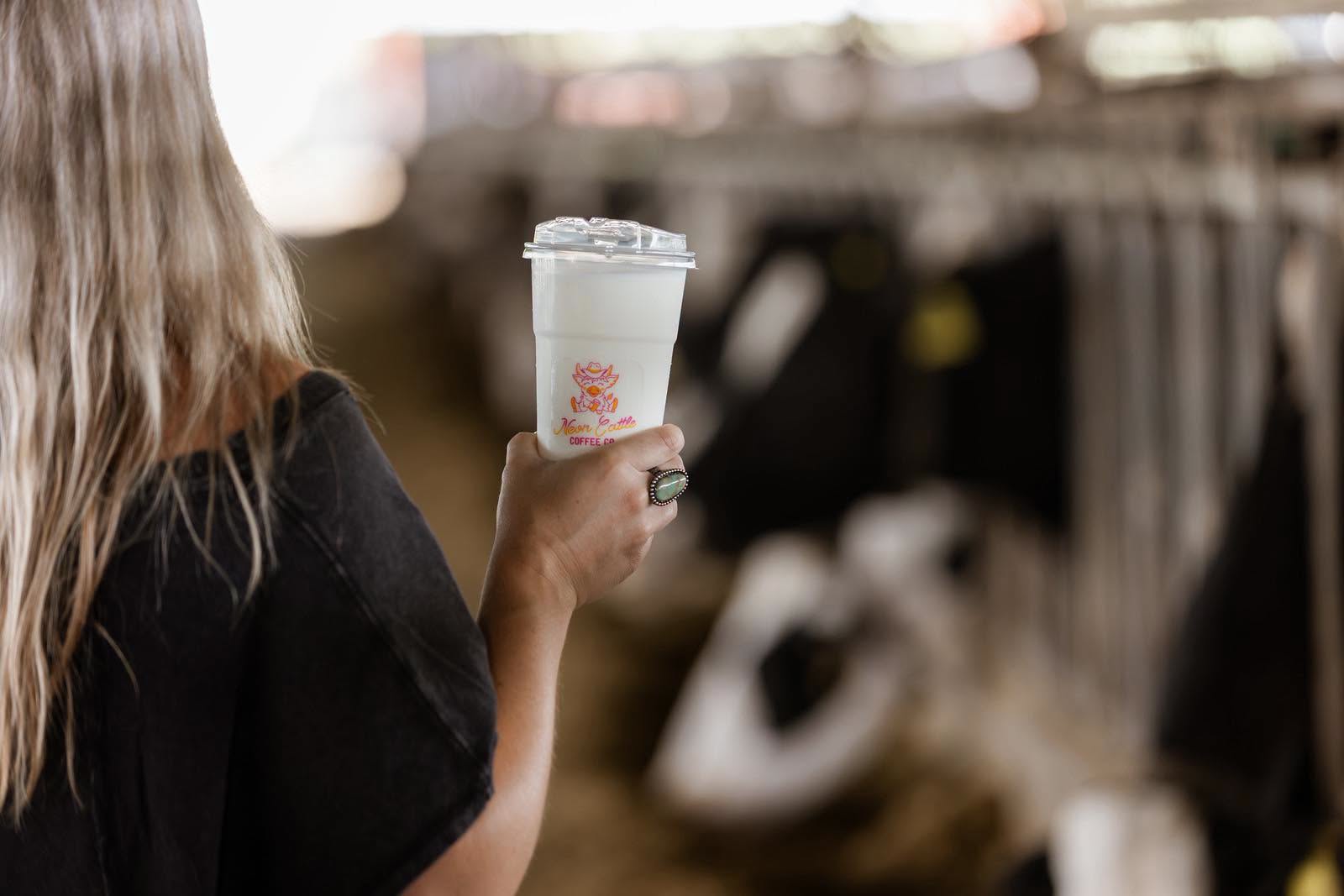 Customer holding a Neon Cattle cup in a dairy barn